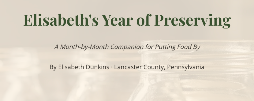 The Preserving Year, Written Down — Elisabeth's Seasonal Companion Workbook