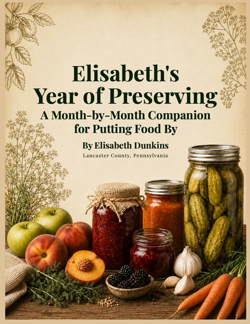 The Preserving Year, Written Down — Elisabeth's Seasonal Companion Workbook